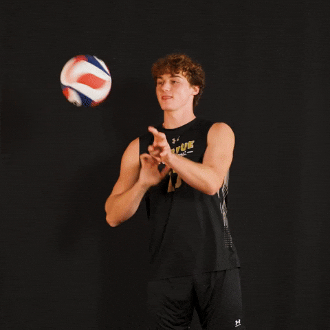 Fort Wayne Volleyball GIF by Purdue Fort Wayne Athletics