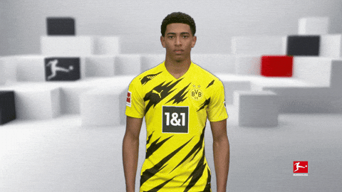 Posing Line Up GIF by Bundesliga