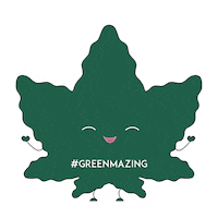 Arequipa Sticker