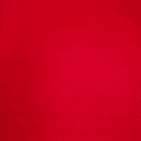 ladyraiderwbb lana wenger GIF