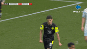 Happy Germany GIF by MolaTV