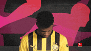 Football Sport GIF by Bundesliga