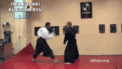 ninjutsu kata GIF by AKBAN Academy