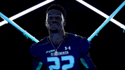 Old Dominion Sport GIF by ODU Football
