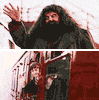 harry potter goodbye GIF
