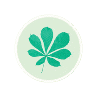 Elisabethstift bte elisabethstift estift Sticker