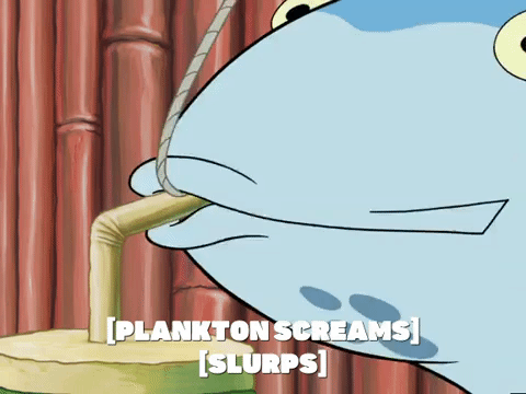 season 4 GIF by SpongeBob SquarePants