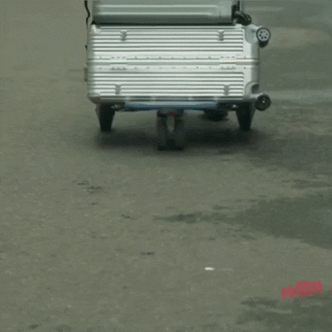 Basil GIF