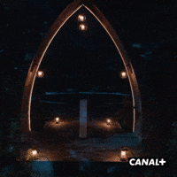 Mister V Irl GIF by CANAL+