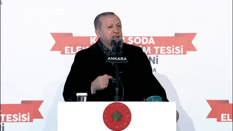 Recep Tayyip Erdogan GIF by euronews