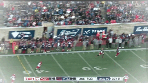 giphygifmaker lewis als montreals alouettes GIF