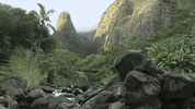 spring mountains GIF by Jerology