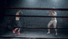 boxing match GIF by Circa Survive