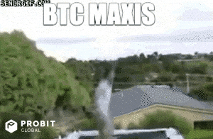 Dog Fail GIF by ProBit Global