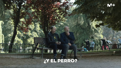 Antonio Resines Rafa GIF by Movistar Plus+