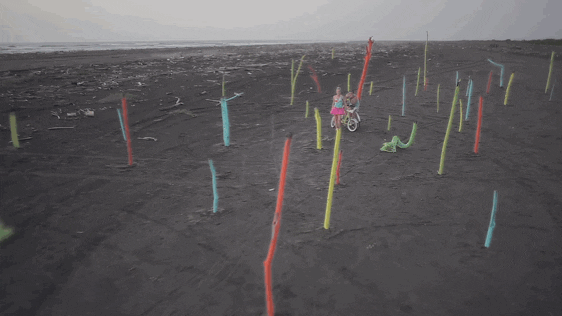 carlos vives la bicicleta GIF by Shakira