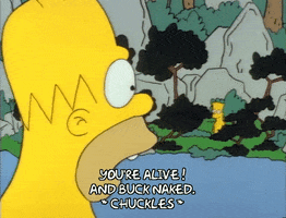 Season 1 GIF by The Simpsons