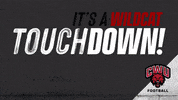 Touchdown Wildcats GIF by CWU Athletics