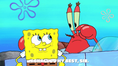 season 9 episode 3 GIF by SpongeBob SquarePants