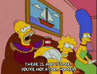 homer simpson GIF