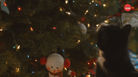 Cat Cant Touch This GIF by BuzzFeed