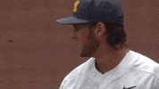 umichathletics michiganbaseball hattip kauffmann GIF