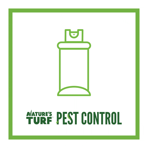 NaturesTurf giphyupload pestcontrol GIF