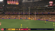 Brisbane Lions Winner GIF