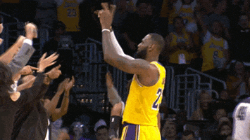 count it lebron james GIF by NBA