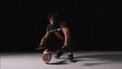 Football Vancouver GIF by BC Lions