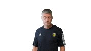 Sport Celebration Sticker by Stade Rochelais