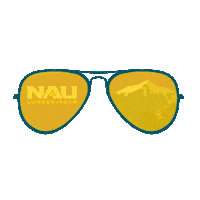 northern arizona university college Sticker by NAU Social