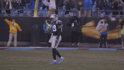 Mike Adams GIF by Carolina Panthers
