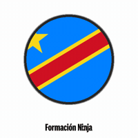 Democratic Republic Of The Congo Flag GIF by Formación Ninja