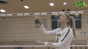 Volleyball Bison GIF by NDSU Athletics