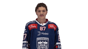 Celebration Goal Sticker by Fehervar AV19
