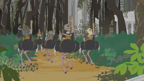 riding emus GIF by South Park 