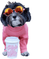 Coffee Time Dog Sticker