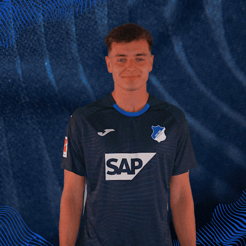 Sport Bundesliga GIF by TSG Hoffenheim