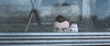 disneystudios evil looking toy story planning GIF
