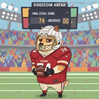 Shiba Inu Win GIF by Doge Pound