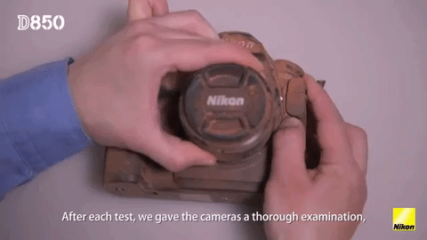 Animated GIF