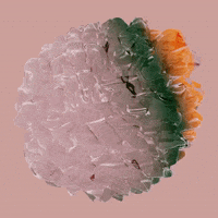 VeletaStudioLab veletastudiolab GIF