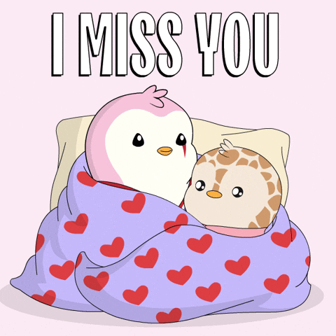 GIF by Pudgy Penguins
