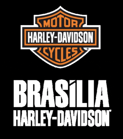 brasiliaharleydavidson giphygifmaker moto harley bsb GIF