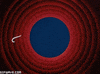 that's all folks circle GIF
