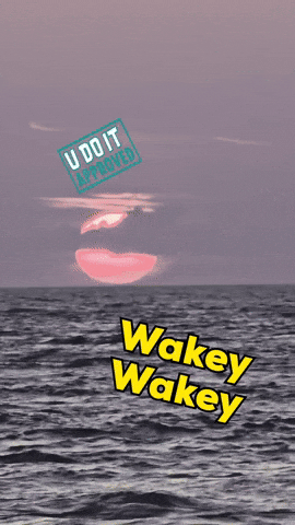 Good Morning Sunshine GIF by No Cheese Records