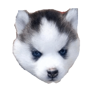 cool STICKER by imoji