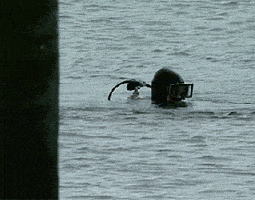 Video gif. Man in a scuba suit floats in the water, holding up a stick. Then he lowers his head into the water.