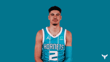 Lamelo Ball Yes GIF by Charlotte Hornets